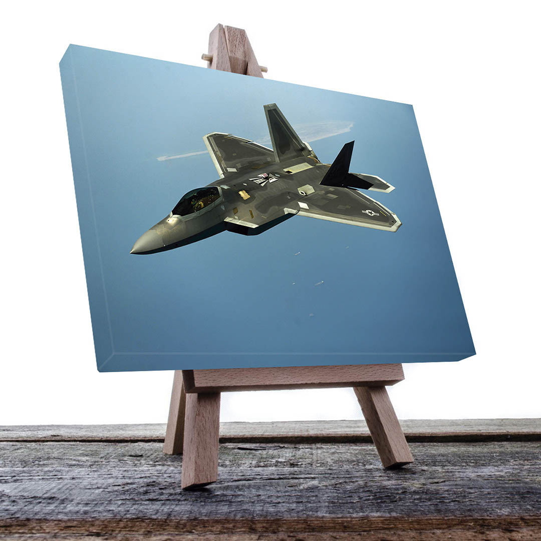 Cuadro Decorativo Avión F22 Raptor 90 X 60