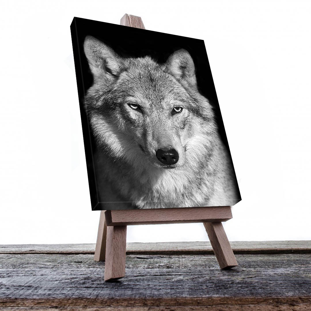 Cuadro Decorativo Lobo Gris #06 60 X 40