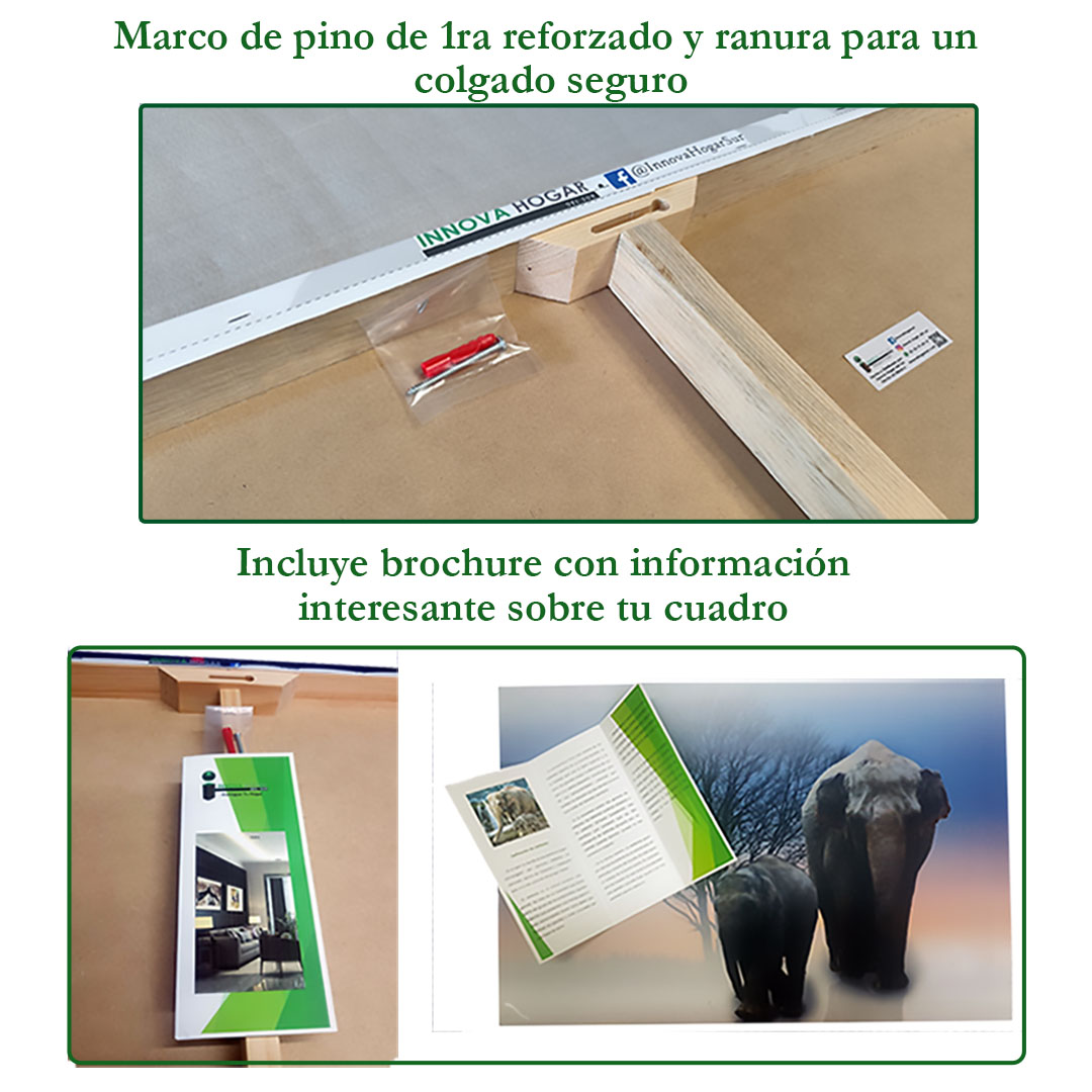 Set de 3 Cuadros Decorativos Psicodélicos  45 X 30