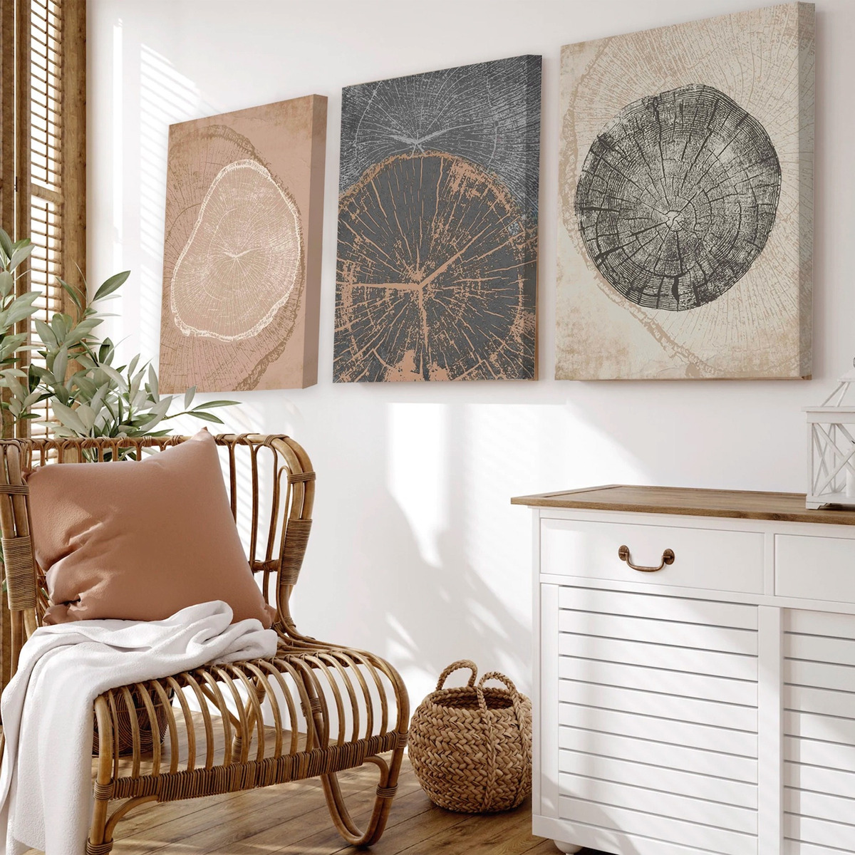 Set 3 Cuadros Decorativos Naturaleza Árboles Anillos Canvas