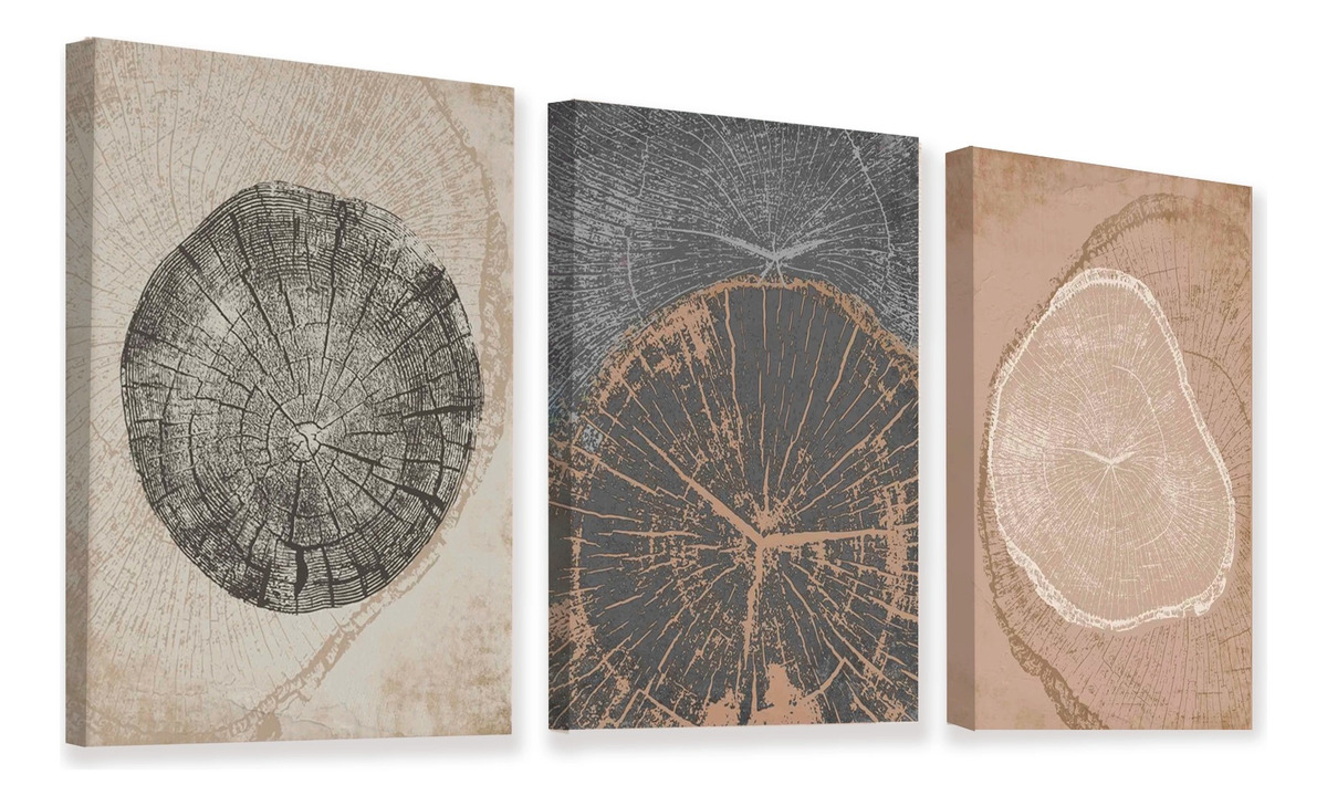 Set 3 Cuadros Decorativos Naturaleza Árboles Anillos Canvas