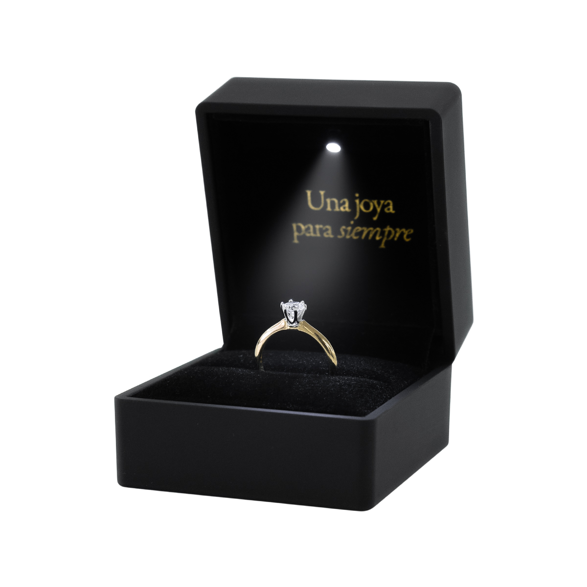 CHURUMBELA DARELIS 14K ORO AMARILLO ABBA JOYAS.