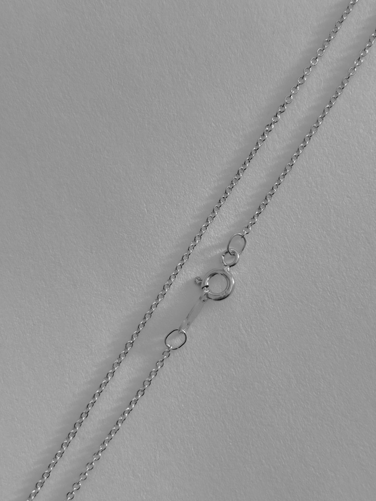 Dije Perro Salchicha En Plata .925