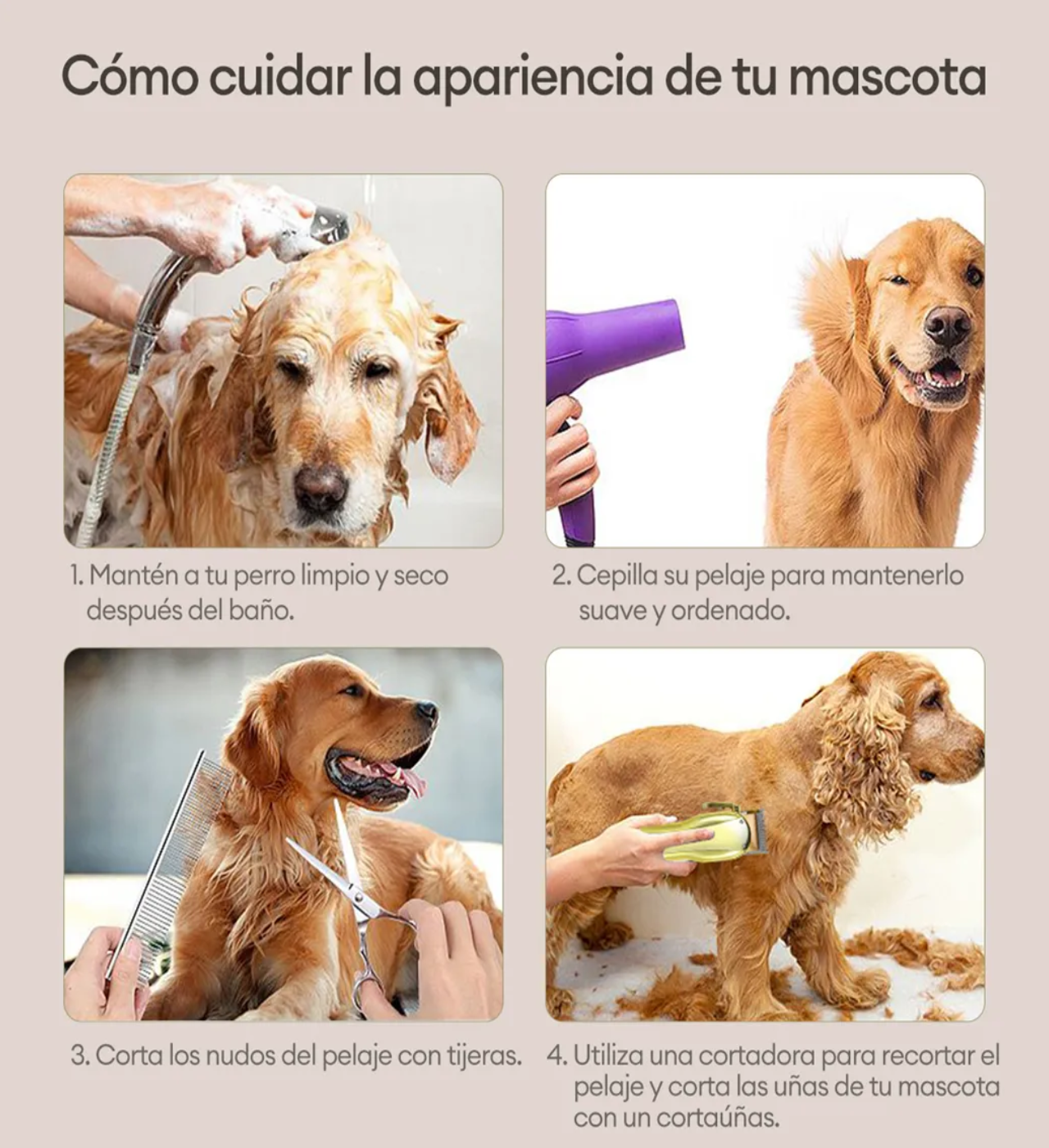 Kit Rasuradoras Para Perros Y Gatos Máquina De Cortar Pelo Cortadora De Pelo Para Mascotas Dorado 