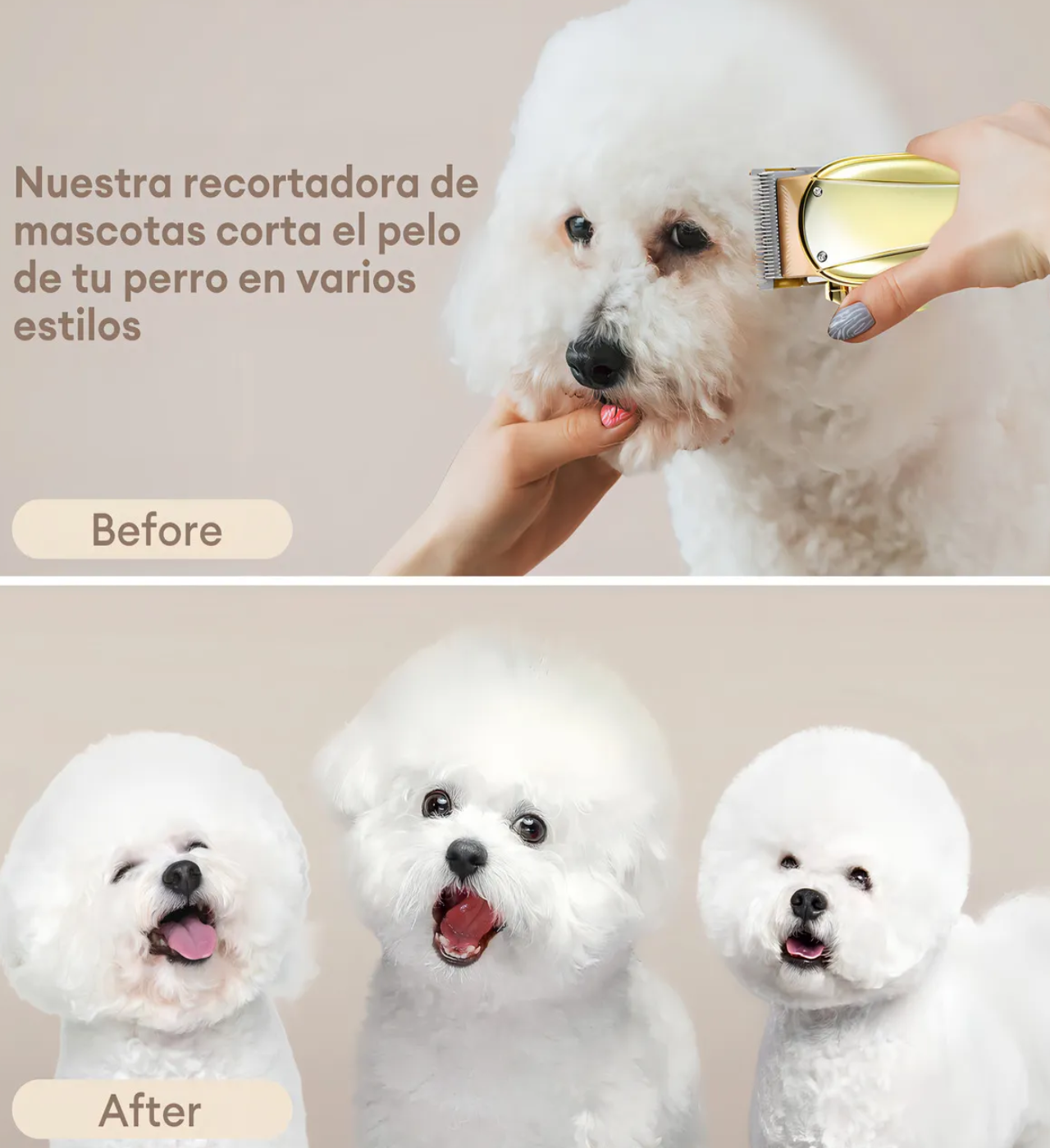 Kit Rasuradoras Para Perros Y Gatos Máquina De Cortar Pelo Cortadora De Pelo Para Mascotas Dorado 