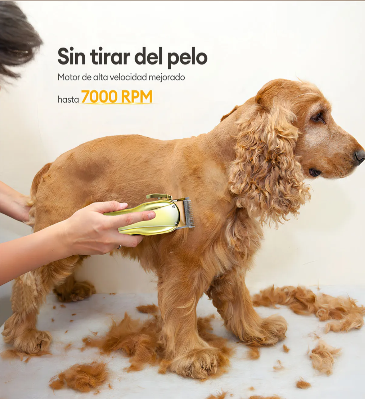 Kit Rasuradoras Para Perros Y Gatos Máquina De Cortar Pelo Cortadora De Pelo Para Mascotas Dorado 