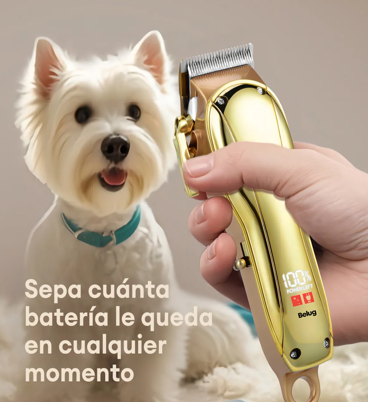 Kit Rasuradoras Para Perros Y Gatos Máquina De Cortar Pelo Cortadora De Pelo Para Mascotas Dorado 