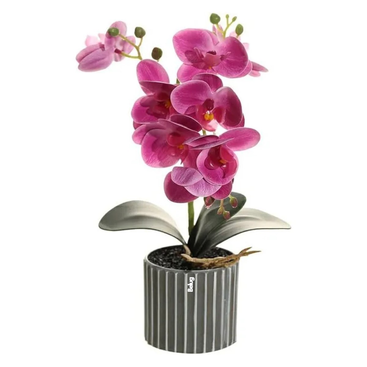 Regalos de Aniversario