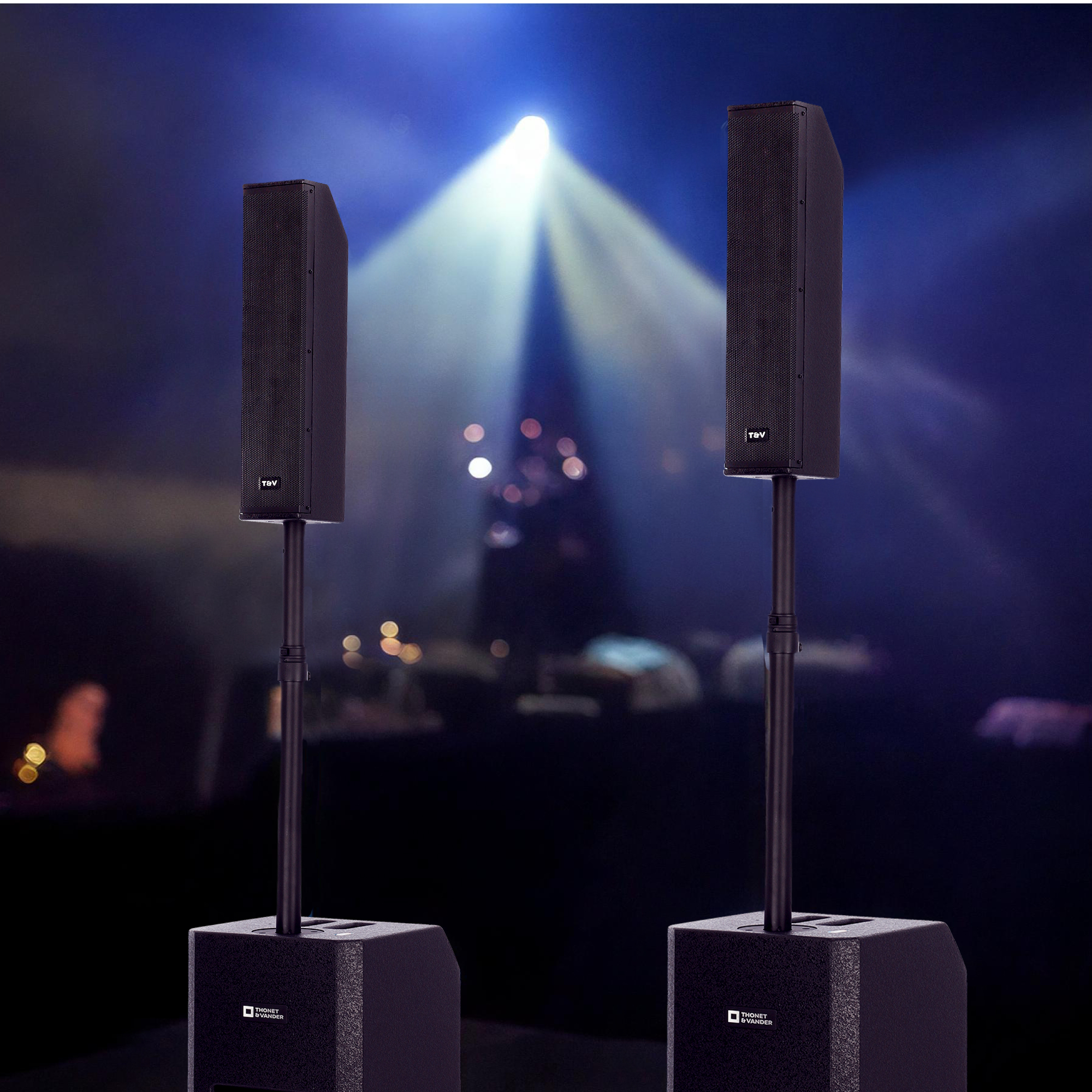 Sistema de Audio Profesional