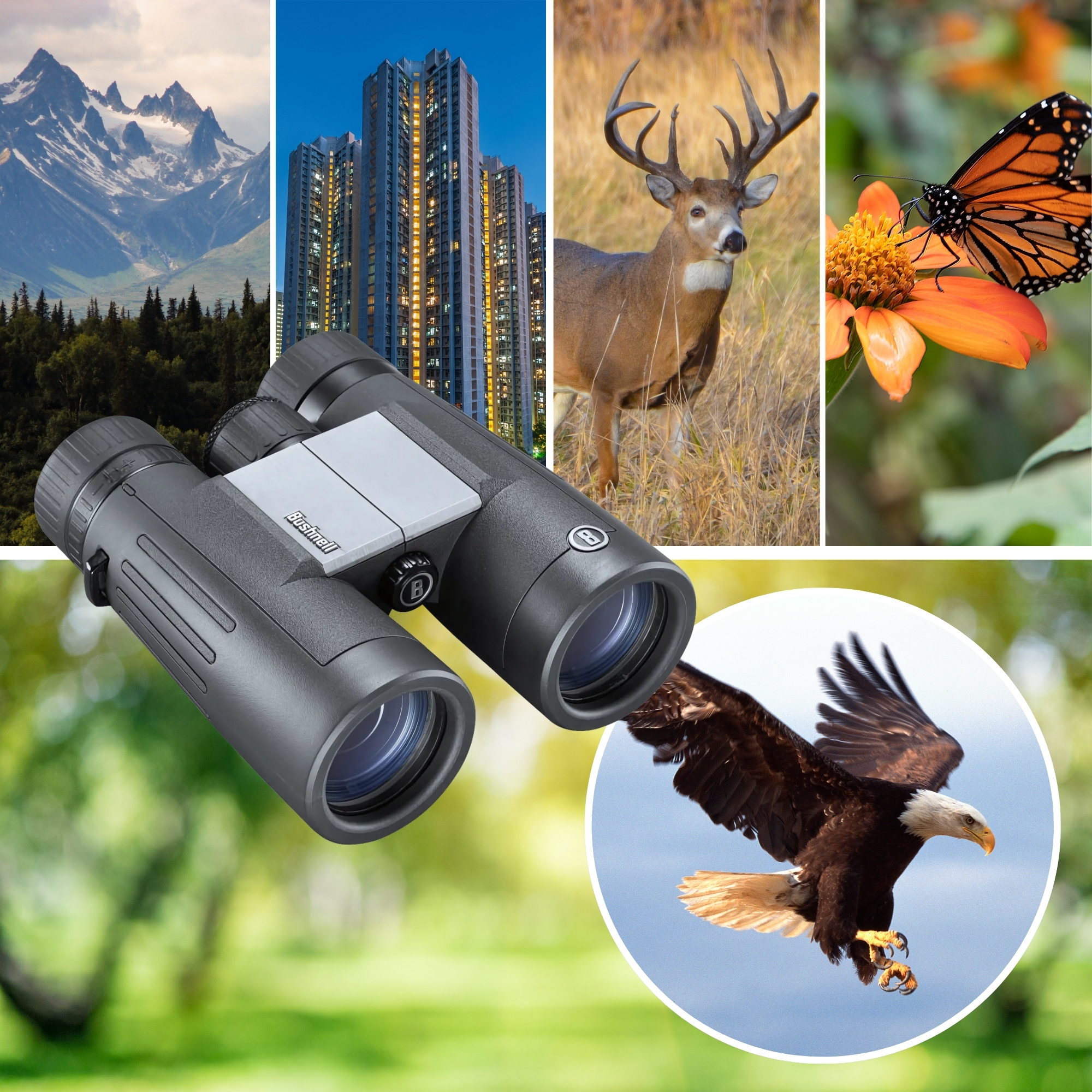 Bushnell Powerview 2.0 8x42 verrekijker