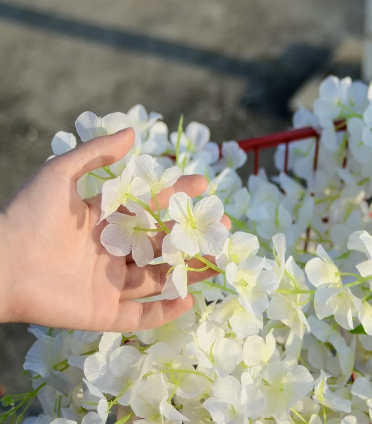 5 Guirnalda De Glicinias Artificial Wisteria Follaje +bridas Blanco Verde