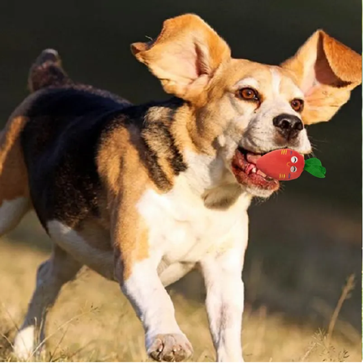 Juguetes De Cuerda Para Perro Morder Paquete De 7 Piezas