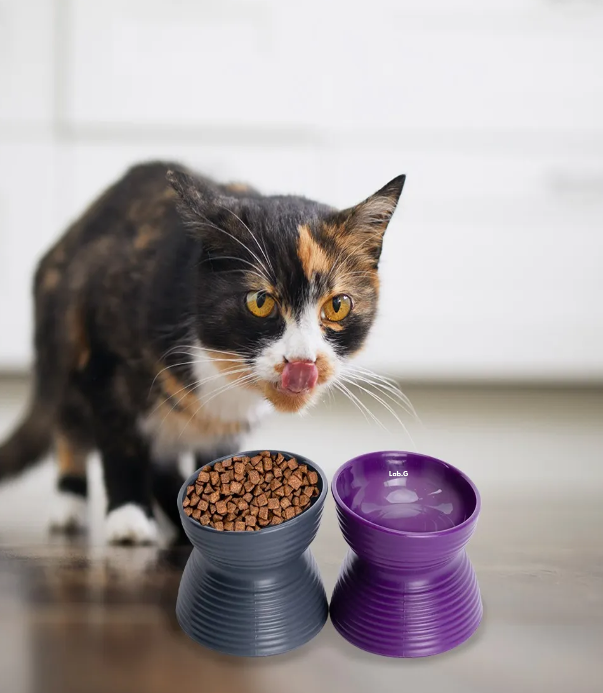 Set 2 Platos Mascotas gris y morado