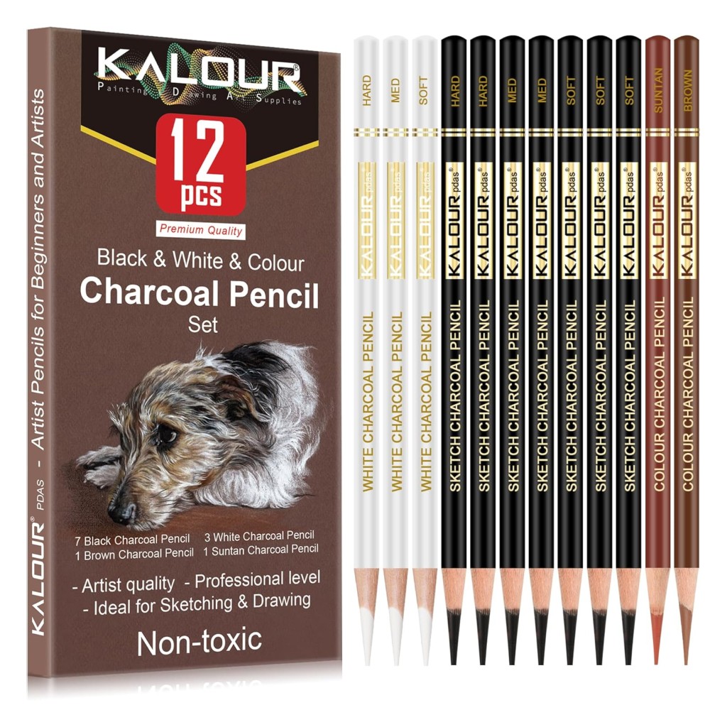 KALOUR Pro Set 12 lápices de carbón Blanco, Negro y Color Para Boceto, Sombreado y Retrato