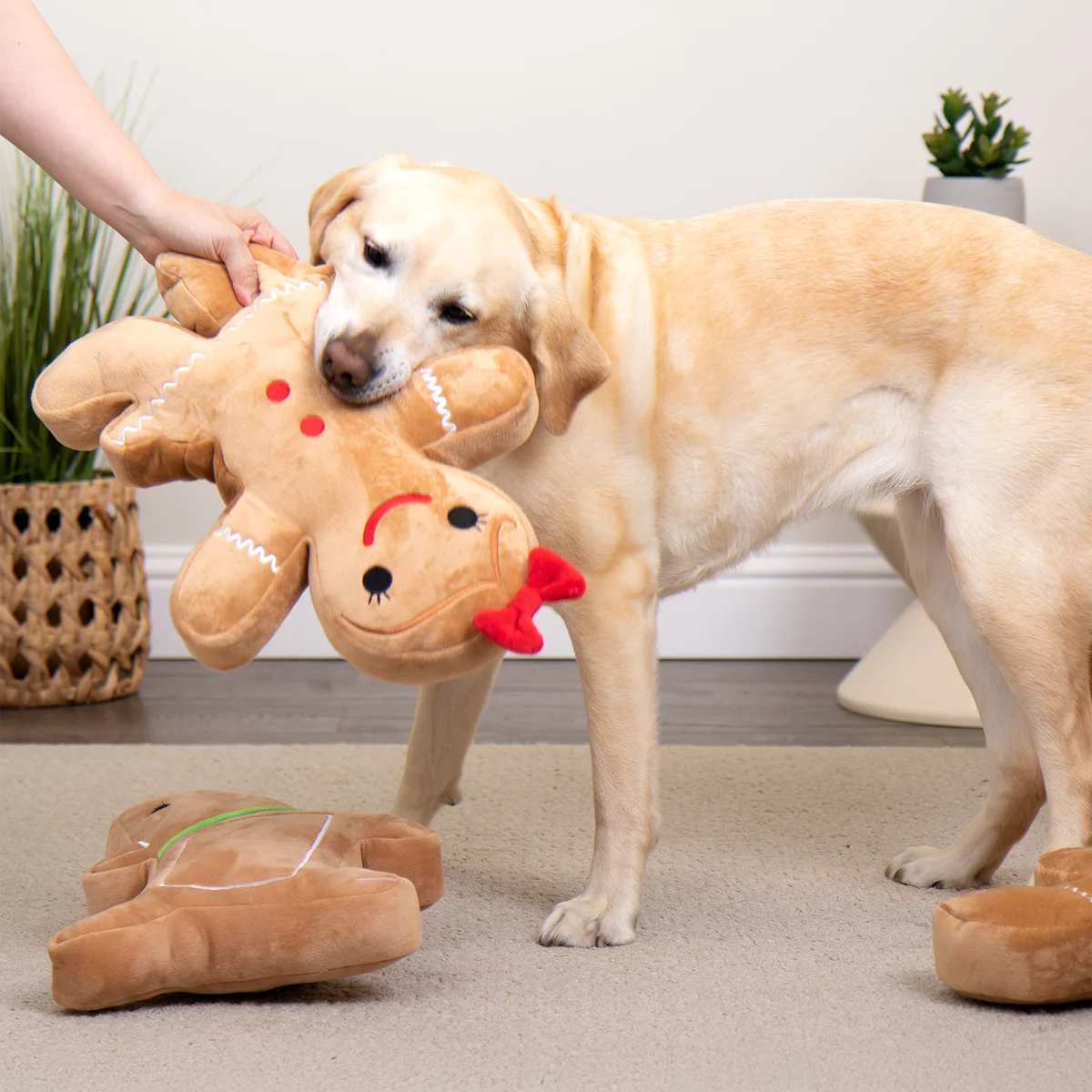go-dog-juguete-de-peluche-de-navidad-para-perro-resistente-1-pza-mujer-de-jengibre-navidena