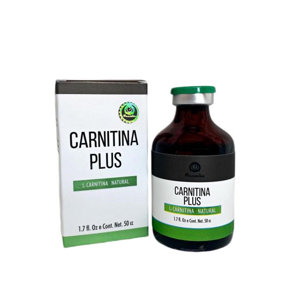 Carnitina Plus MESOSLIM