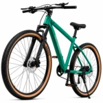 Bicicleta Rodada 29 Montaña Shimano 9 Vel Frenos Hidraulicos Verde 43 Cm Centurfit