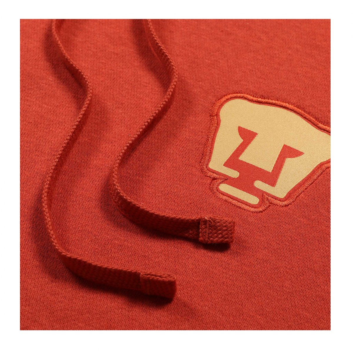 Sudadera Nike Pumas Unam Terracota Temporada 21/22