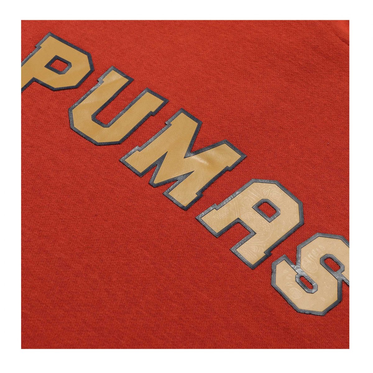 Sudadera Nike Pumas Unam Terracota Temporada 21/22