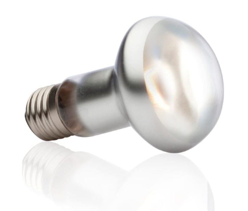 Foco Sun Glo Tight Beam Exo-Terra 50 W - Hagen