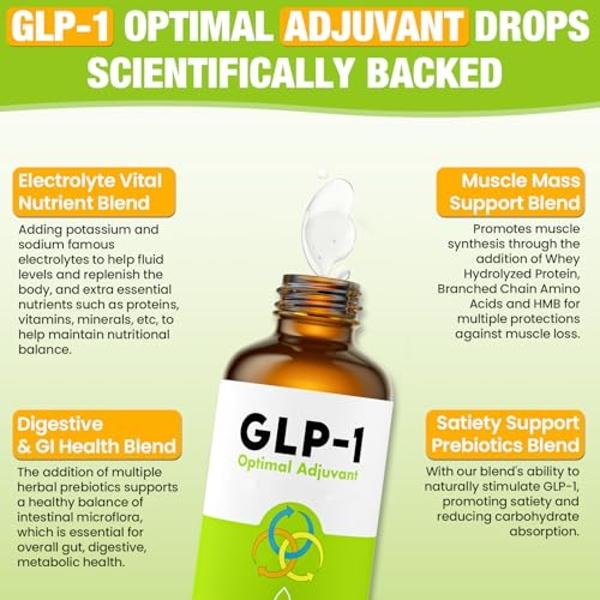 gotas de glp 1 GLP-1, Gotas de GLP-1, Suplemento de GLP-1 que apoya la salud metabólica y  energética a largo plazo, el sistema digestivo e inmunitario, el bienestar  intestinal y la absorción de n