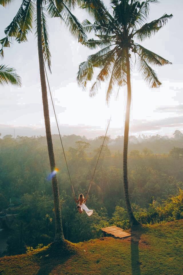 Columpio de Bali con vistas a la selva y los arrozales.