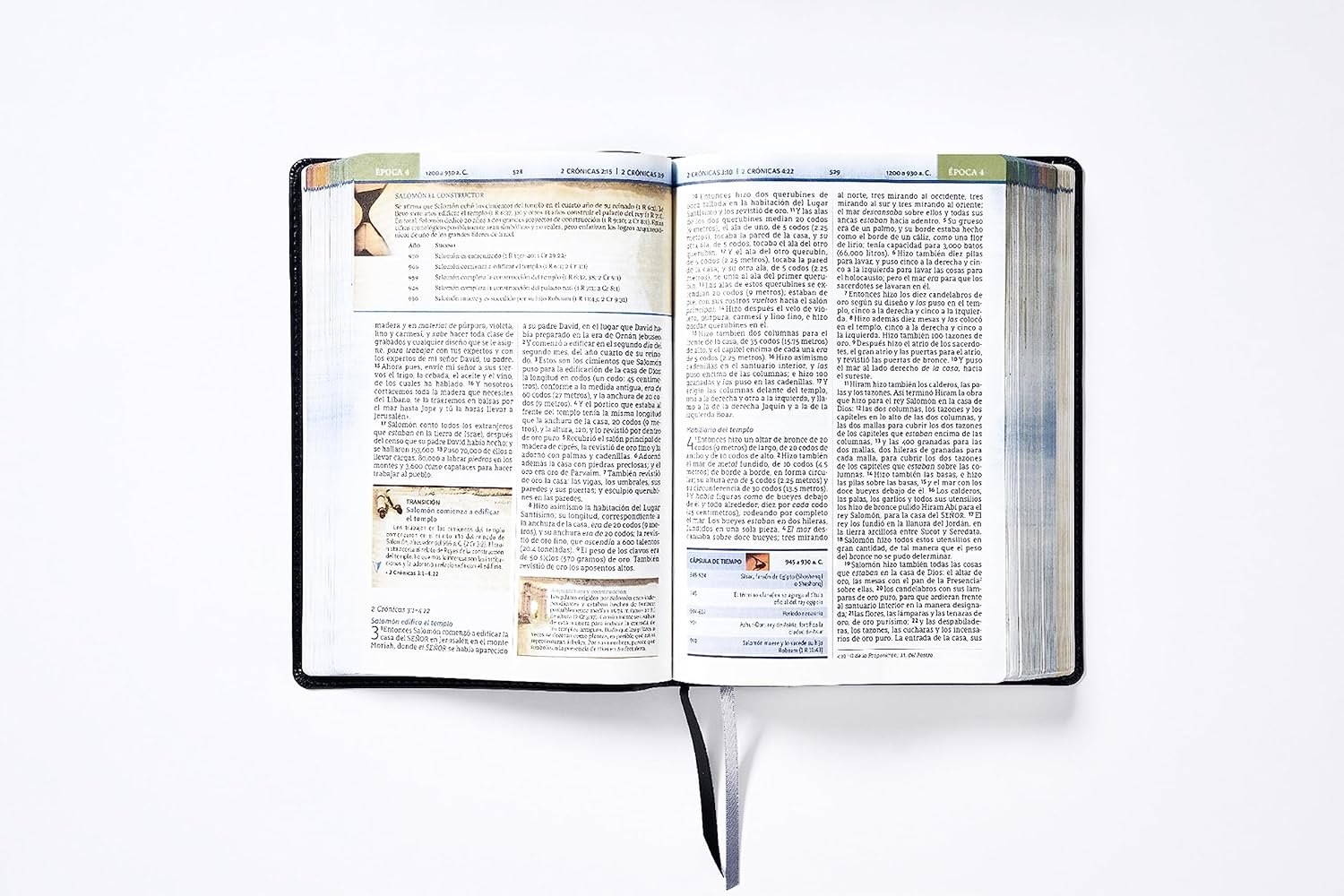 Biblia NBLA Cronológica de Estudio, negra, imitacion piel, letra 9 puntos