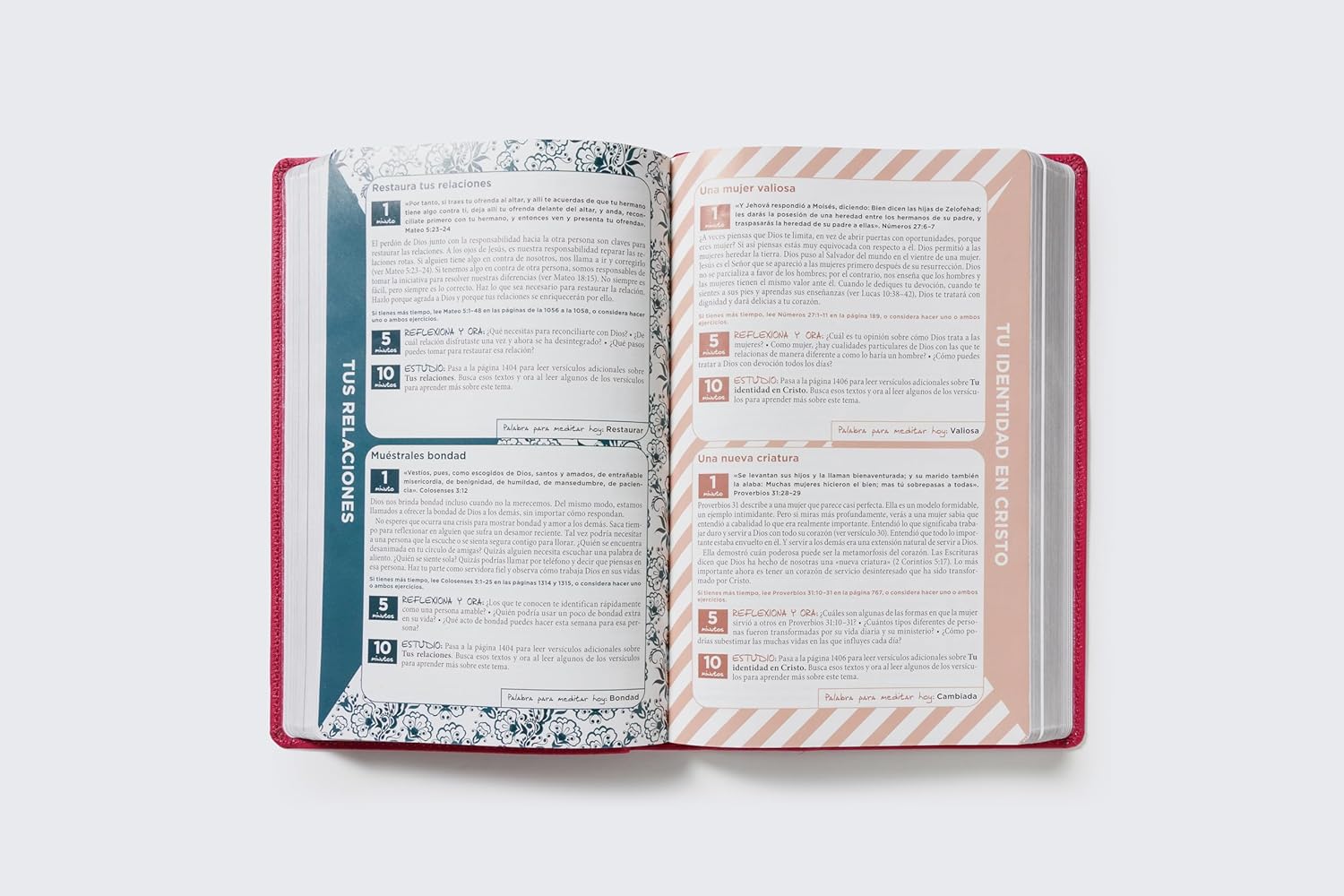 Biblia RV1960 De la Mamá Ocupada, magenta, imitacion piel, letra