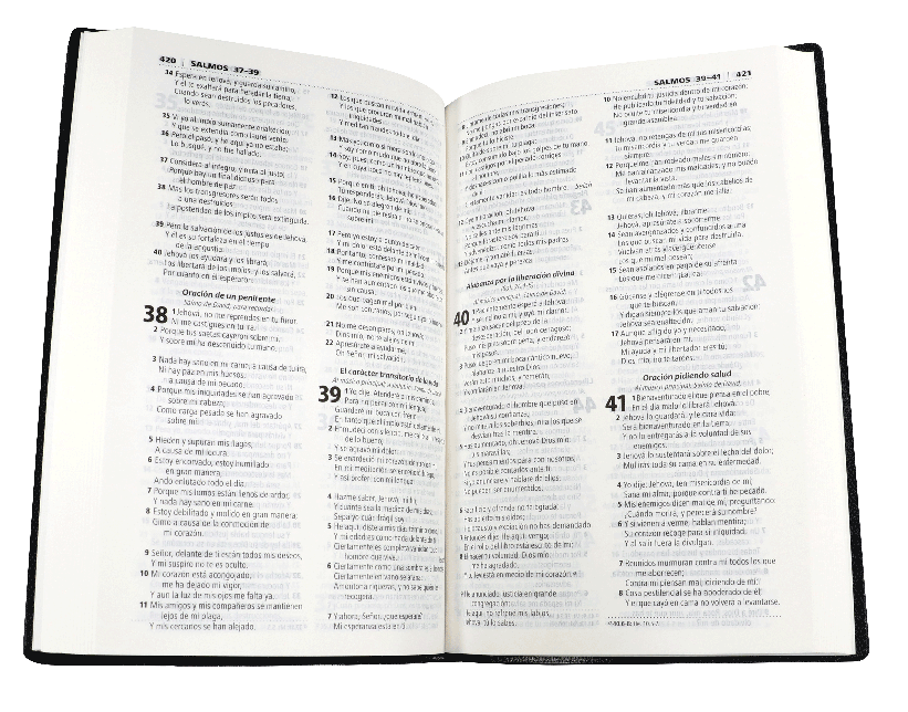 Biblia RVR1960 manual vinil azul, letra 9 puntos