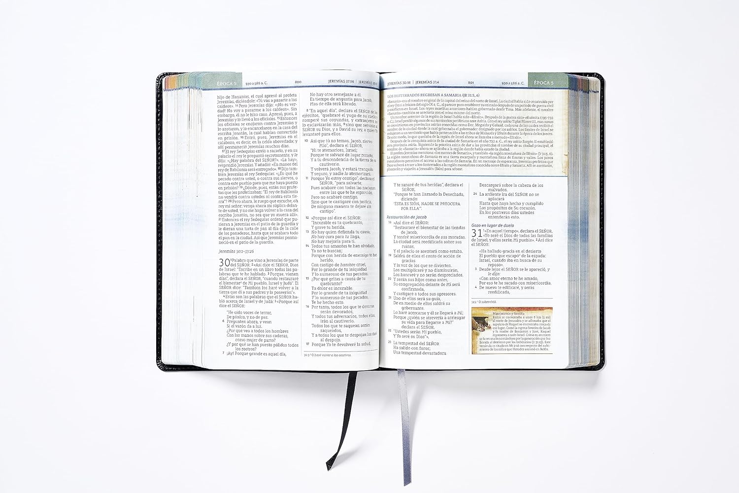 Biblia NBLA Cronológica de Estudio, negra, imitacion piel, letra 9 puntos