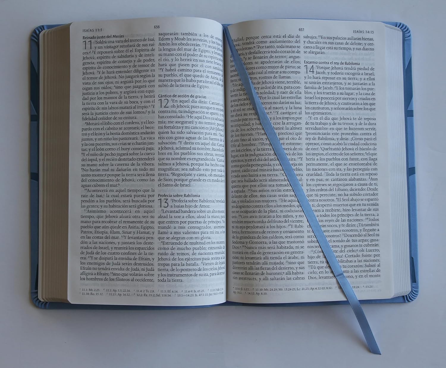 Biblia RV1960 Nombres de Dios, azul celeste, tamaño manual, letra grande 10.5 puntos