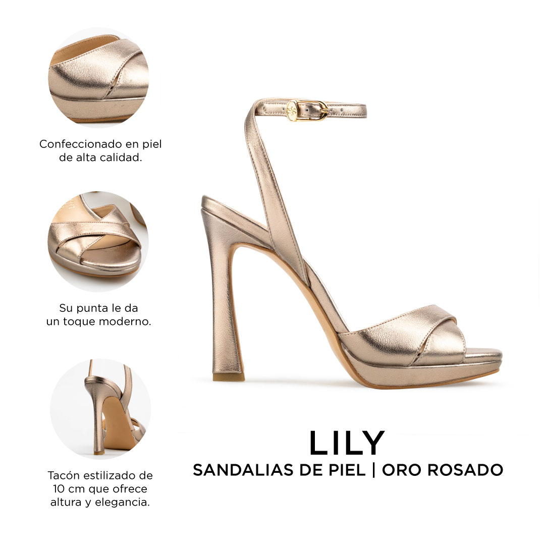 Lily Oro Rosado